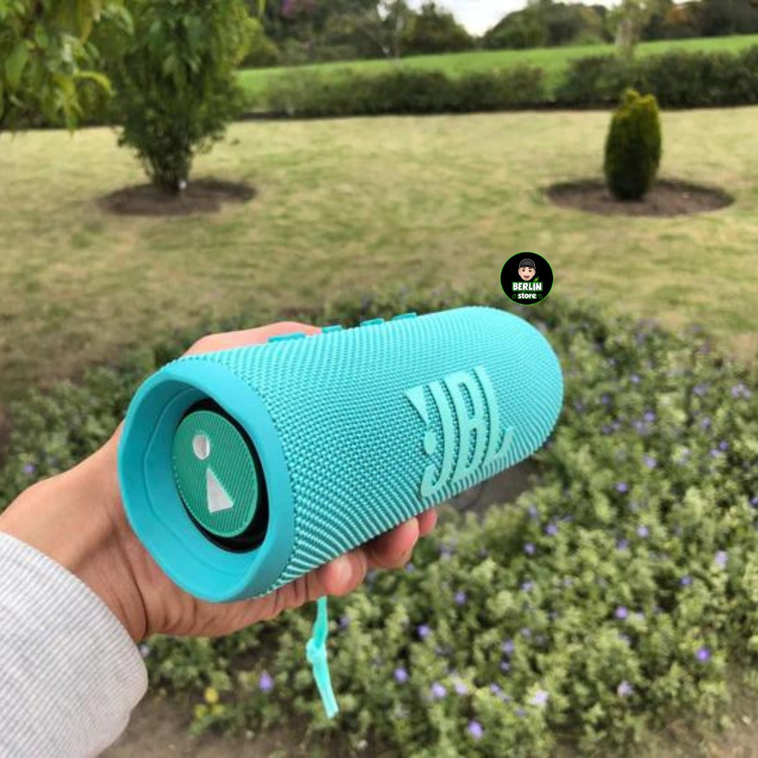 Parlante Jbl Flip 6 Resistente Al Agua